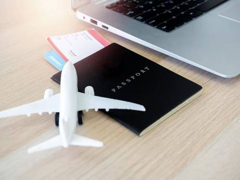 International Flight Booking Overview With Airline Choices and Travel Information