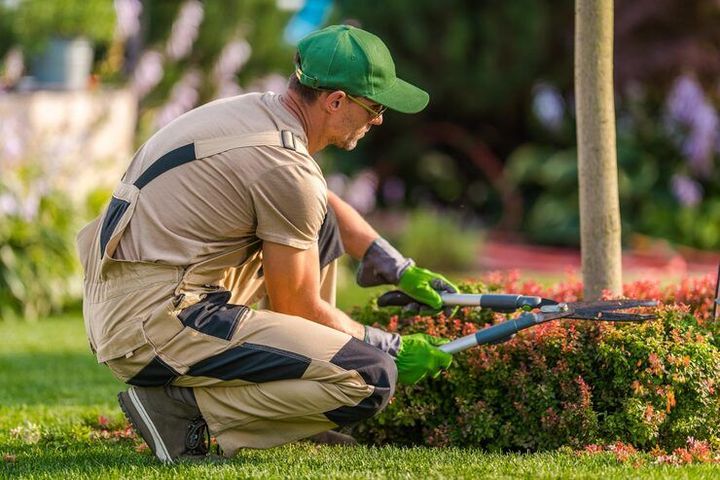 Landscaping Advice for Garden Planning, Outdoor Features and Green Spaces