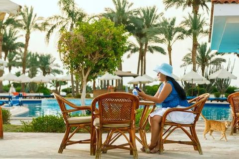 Explore USA Travel Options With Popular Attractions, Hotels, and Tourism Insights
