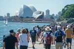Sydney Harbour Adventures Guide With Attractions, Cruises, and Travel Insights