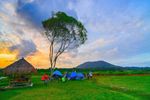 Nilambur Travel Explained With Popular Places, Activities, and Trip Planning Tips