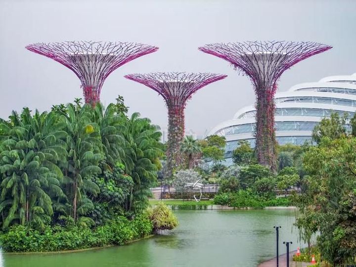Explore Gardens by the Bay Singapore With Family Attractions and Travel Insights